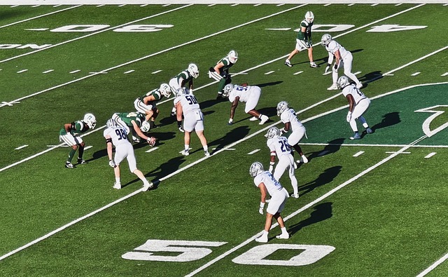 让鱼上树 让鱼上树