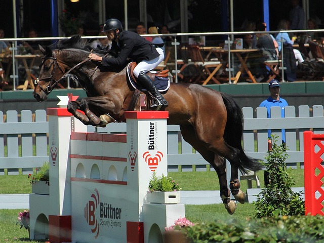 多年的婚姻 多年的婚姻