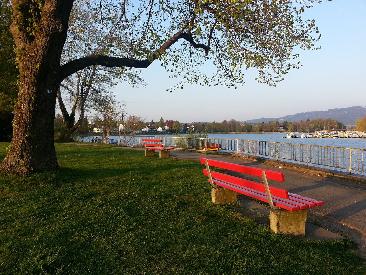 后的精神文 后的精神文