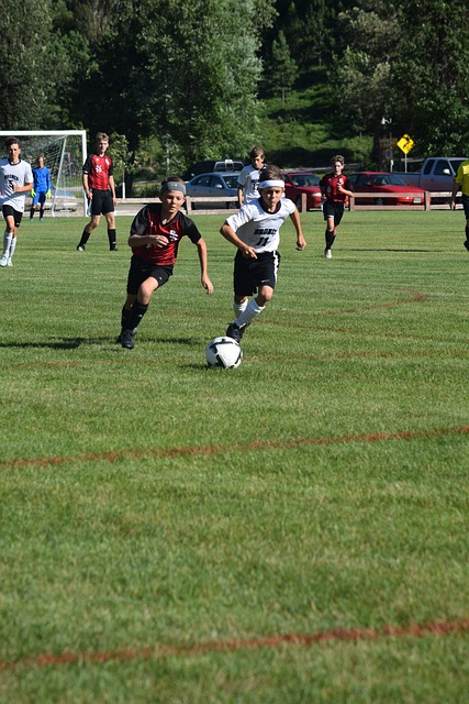 灰熊队的挣 灰熊队的挣