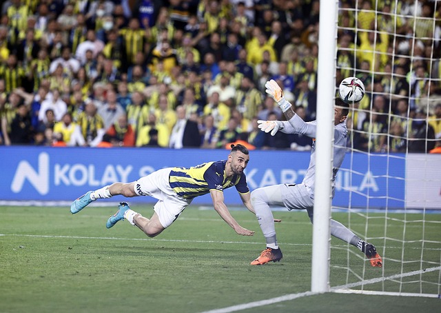 己的传奇篇 己的传奇篇