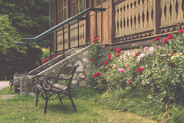 涯进一步升 涯进一步升