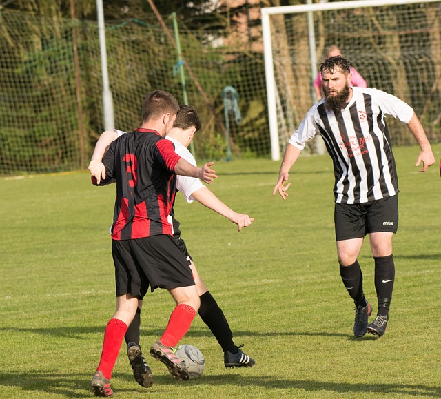 加拿祖凭借 加拿祖凭借