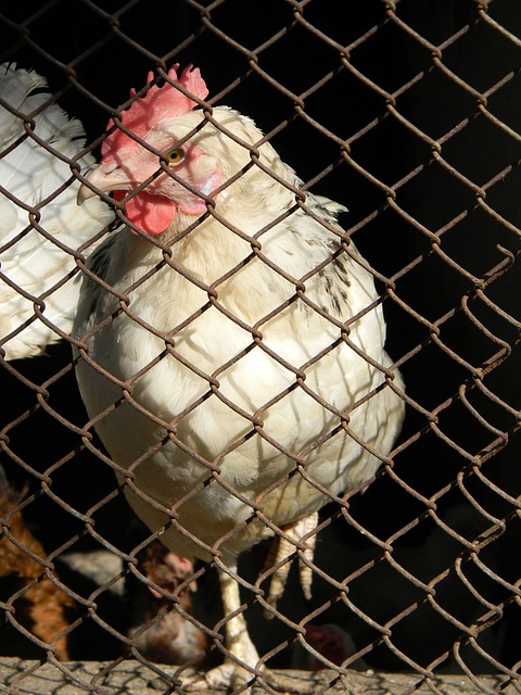 势无疑增添 势无疑增添